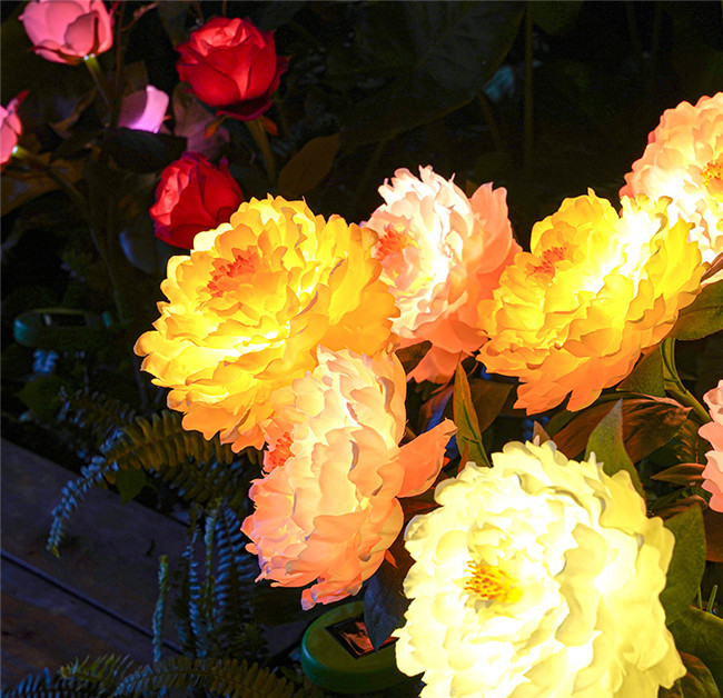 Luz solar colorida de la flor de la baja tensión de la peonía para el banquete de boda